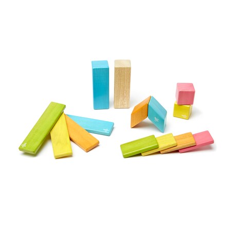 Tegu Magnetic Wooden Blocks, 14-Piece Set, Tints 14P-TNT-306T